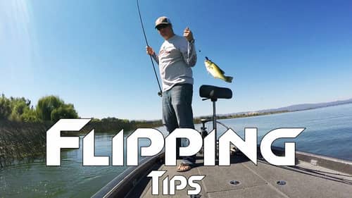 Flipping Cover For Bass: Everything You Need To Know