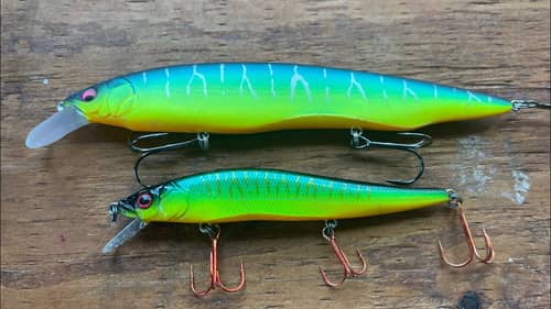 Firetiger…The Most Deadly Jerkbait Color You Are Not Fishing