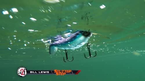 Bill Lewis StutterStep Underwater Video