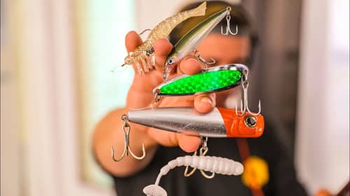 Top 5 BEST Saltwater Winter Fishing Baits and Tips