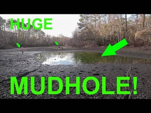 Rescuing Big Multi-Specie Fish From a Small MUD HOLE