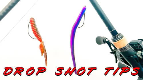 Dropshot Tricks To Catch Fish On HOT Summer Days!