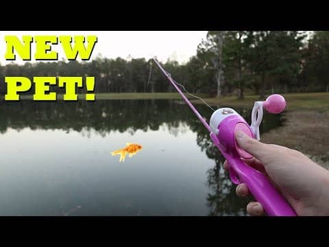 BARBIE ROD Fishing for New PET FISH!!!
