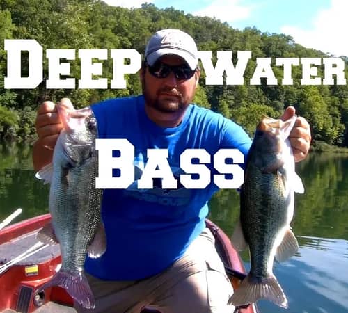Deep Water Summer Bass Fishing
