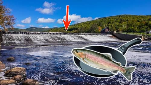 We Found A Hidden Spillway In The Mountains! ( Rainbow Trout Catch & Cook )