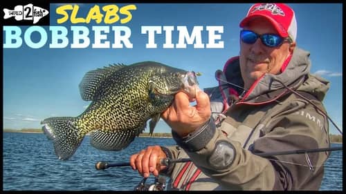 Bobber Fishing Tips for Springtime Crappies