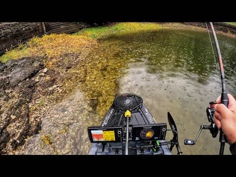 This was a wild one (YABG #3 - Lake Tulloch)