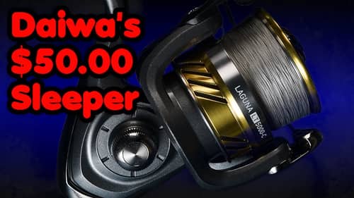 The NEW Daiwa Laguna is better than I expected for a $50 - 5000 sized reel.