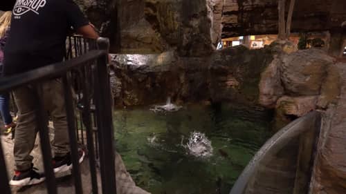 Fishing The Roman Made Mother In Bass Pro Shops!?