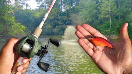 Fishing Dirty Water For Big Bass (Tough Early Fall Fishing)