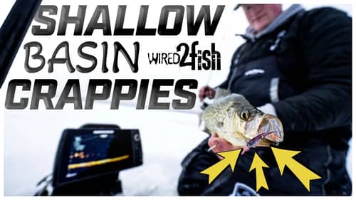 Ice Fishing Crappies on Small Lakes | Secrets Revealed