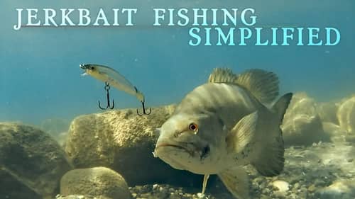 How and When Jerkbaits Outperform Swimbaits