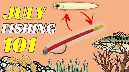 Everything You Need To Know About Fishing In July