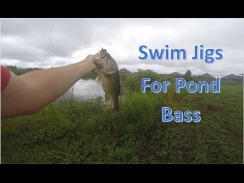 Swim Jig Fishing for Summertime Pond Bass