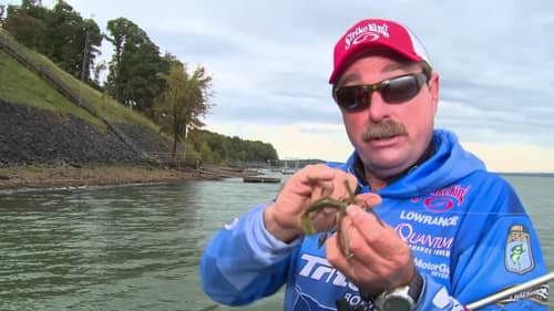 Year-Round Dock Fishing with Shaw Grigsby