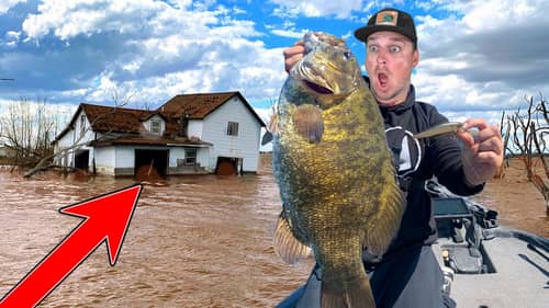 Catching Bass of a LIFETIME from FLOODED Farms!! *STATE RECORD Hunt*