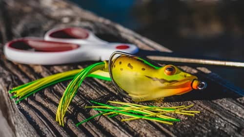 Simple Frog Modifications You Need To Try!