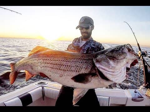 Fishing NEW YORK CITY for GIANT STRIPED BASS!