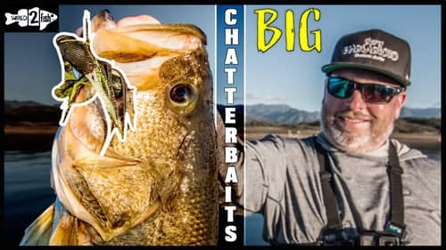 How to Fish Heavy ChatterBaits for Big Offshore Bass