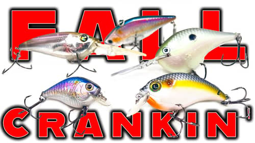 Crankbait Tricks For Fall Bass Fishing!