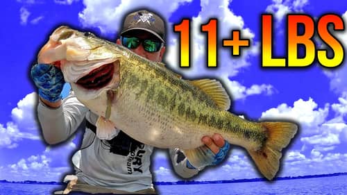 BASS of a LIFETIME on a Spinning Rod (SCARY Fishing!!!)