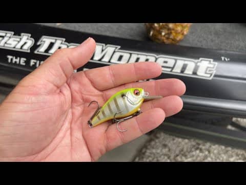 The Frequency of This Crankbait Is Like No Other