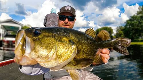 Chatterbait and Topwater! Exploring New Lake During ICAST!