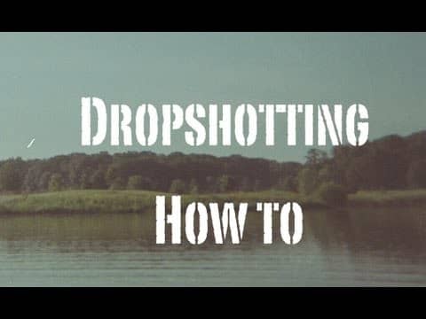 How To Rig a Dropshot Worm: One of the most effective rigs