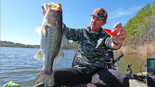 Fishing this Reaction Lure Gets Big Bass Every Year!
