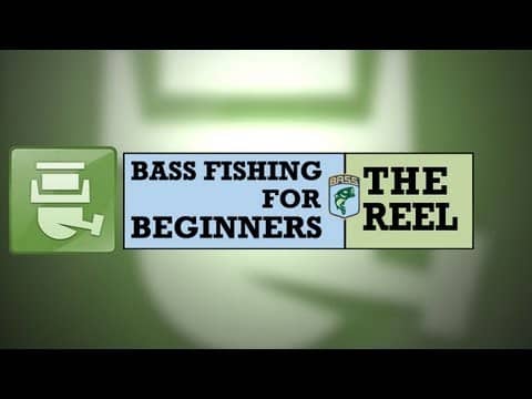 Bass Fishing for Beginners: The Reel