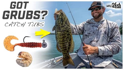 How to Fish Grubs for Smallmouth Bass in Clear Water