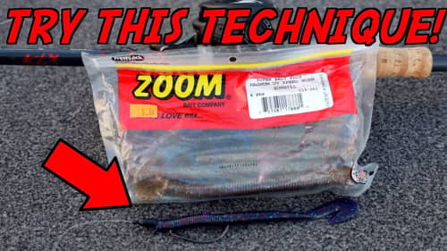 The BEST Technique for FLORIDA Bass Fishing! (Zoom Speed Worm)