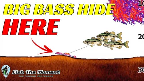Use 2D Sonar To Reveal GIANT Bass You Never Saw Before On Your Fish Finder