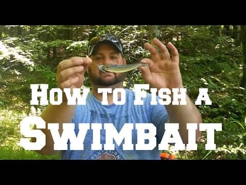 How to fish a Swimbait