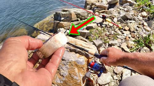 SIMPLE Way To Catch LOADS Of Catfish From The Bank