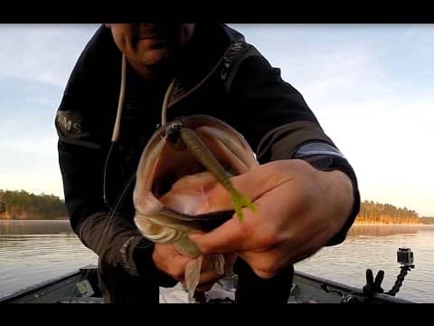 Bass Fishing with Stick Worms - Zoom Fluke Stick Jr.