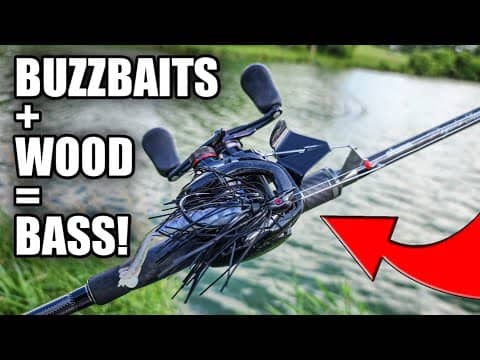 ALWAYS Cast Buzzbaits by Wood! (Summer Bass Fishing)