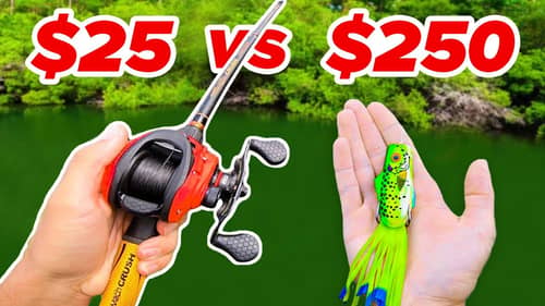 $25 vs $250 Budget Fishing Challenge (Rod, Reel, Lures)