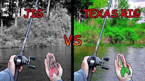 1v1 Jig vs Texas Rig Fishing Tournament!