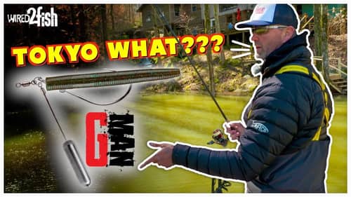 Tokyo Rigging Finesse Worms | GMAN’s Stingy Bass System