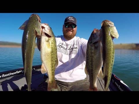 Bass Union Jigs Catch Mixed Bag of SOLID Lake Oroville Bass | Summer Jig Fishing with Joseph Orozco