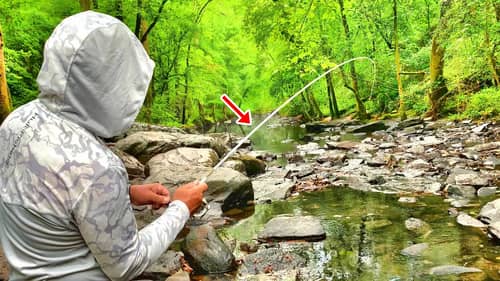 I Found Some Monster Fish In This Small Creek! This Is The Best Creek Fishing Bait!