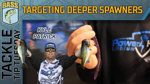 Try deeper structure for spawning bass in the spring
