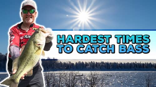 Bass Fishing Challenges (Winter, Cold Fronts, Post-Spawn Funk, Summer & Fall Transition)