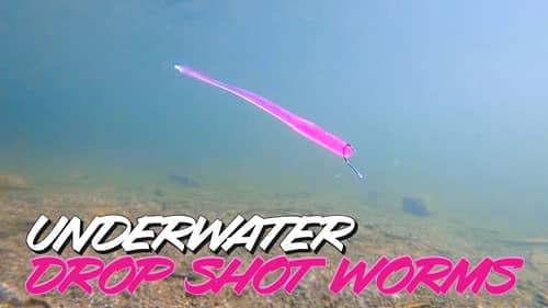 Underwater Footage! Dropshot Worm Comparison - Which Would You Choose?