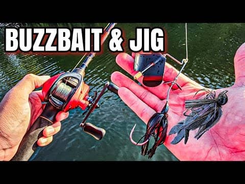 Fall Fishing with a BUZZBAIT & JIG (TWO Catch MORE FEESSH)