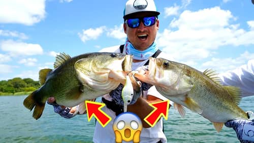 Catching MULTIPLE Giant Bass AT THE SAME TIME!!! --INSANE Crankbait Fishing!!!
