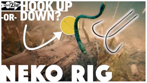 Neko Rig Underwater - Rig Hook up or Down?