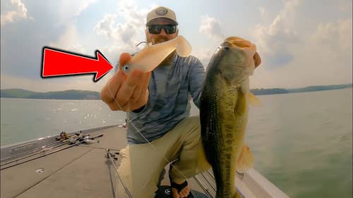 Summer SWIMBAIT And JIG Fishing! We're Getting Bit EVERY Cast! 🔥🔥