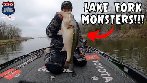 Lake Fork MONSTERS!!! (Bassmaster Elite Series Stop #2)